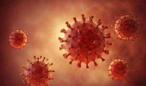 奧密克戎毒株最什么？究竟有多可怕？