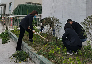 快樂植樹，收獲幸福！