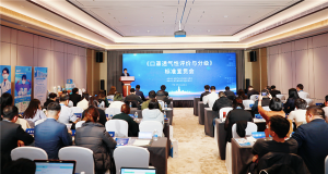  《口罩透氣性評價與分級》標(biāo)準(zhǔn)宣貫會在京召開